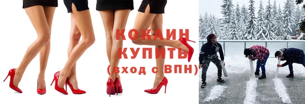 сатива Арсеньев