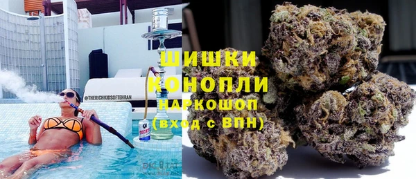 сатива Арсеньев