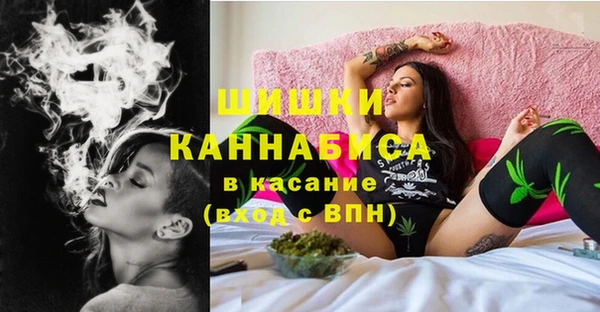 сатива Арсеньев